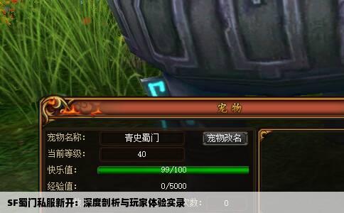 SF蜀门私服新开：深度剖析与玩家体验实录