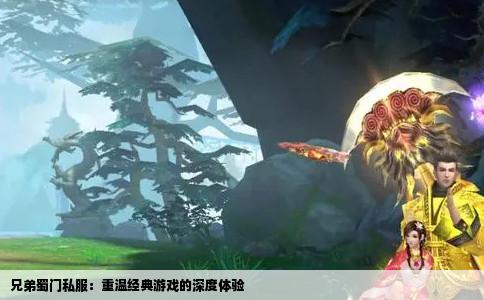 兄弟蜀门私服：重温经典游戏的深度体验