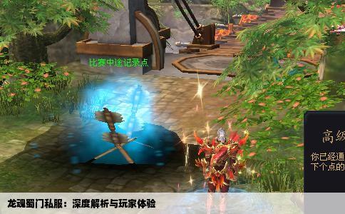 龙魂蜀门私服：深度解析与玩家体验