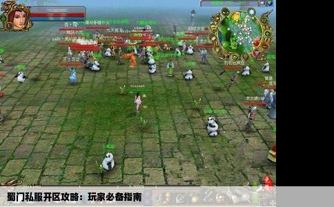 蜀门私服开区攻略：玩家必备指南