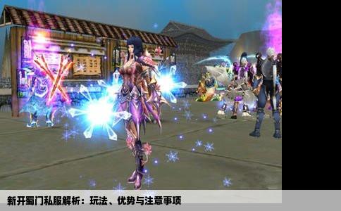 新开蜀门私服解析：玩法、优势与注意事项
