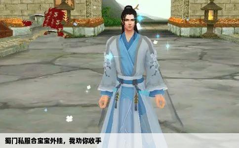 蜀门私服合宝宝外挂，我劝你收手