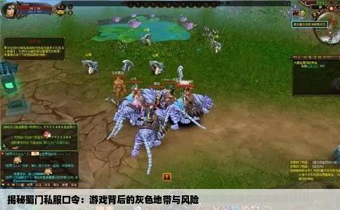 揭秘蜀门私服口令：游戏背后的灰色地带与风险