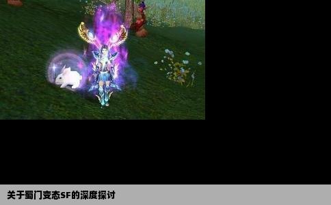 关于蜀门变态SF的深度探讨