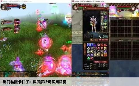 蜀门私服卡柱子：深度解析与实用指南