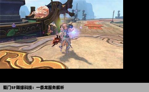 蜀门SF随缘科技：一条龙服务解析