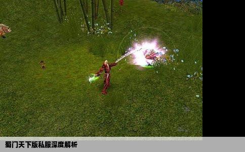 蜀门天下版私服深度解析