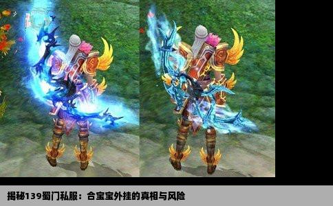 揭秘139蜀门私服：合宝宝外挂的真相与风险